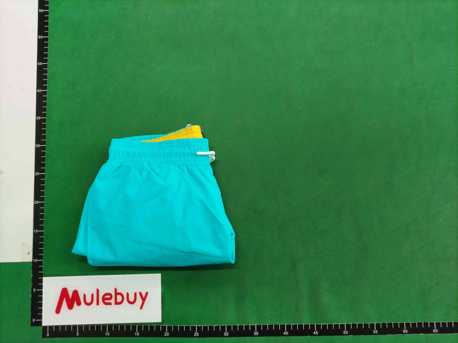 ph043 Ralph Lauren Shorts