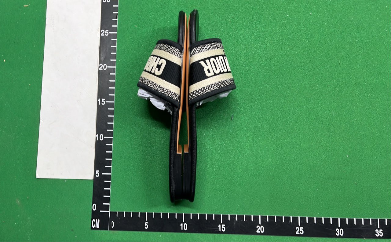 ph102 Dior Slide Slippers