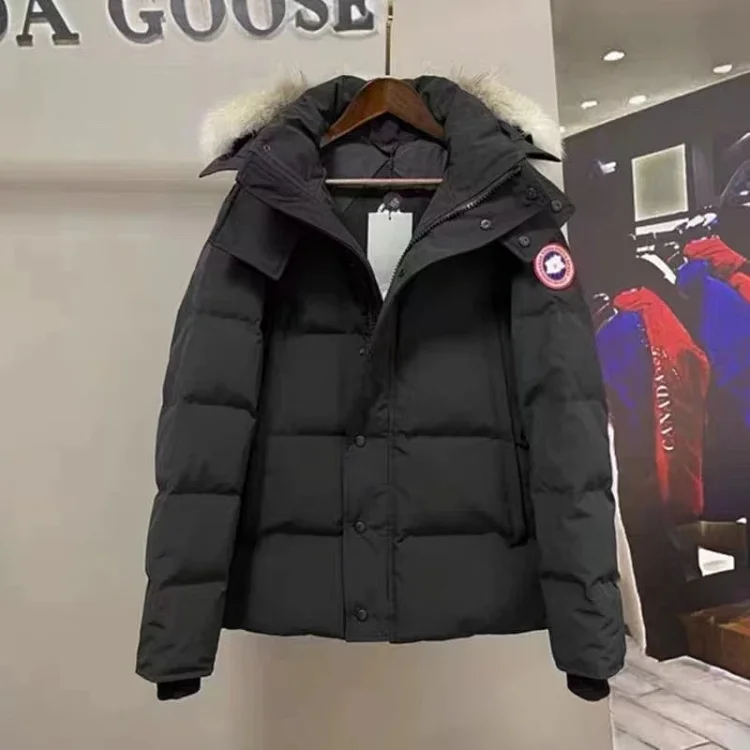 Canada goose  down j